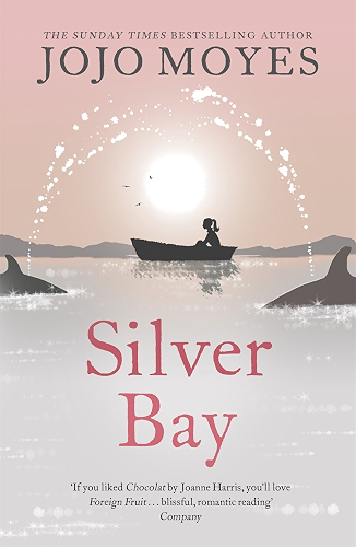 Download Silver Bay (English Edition) PDF