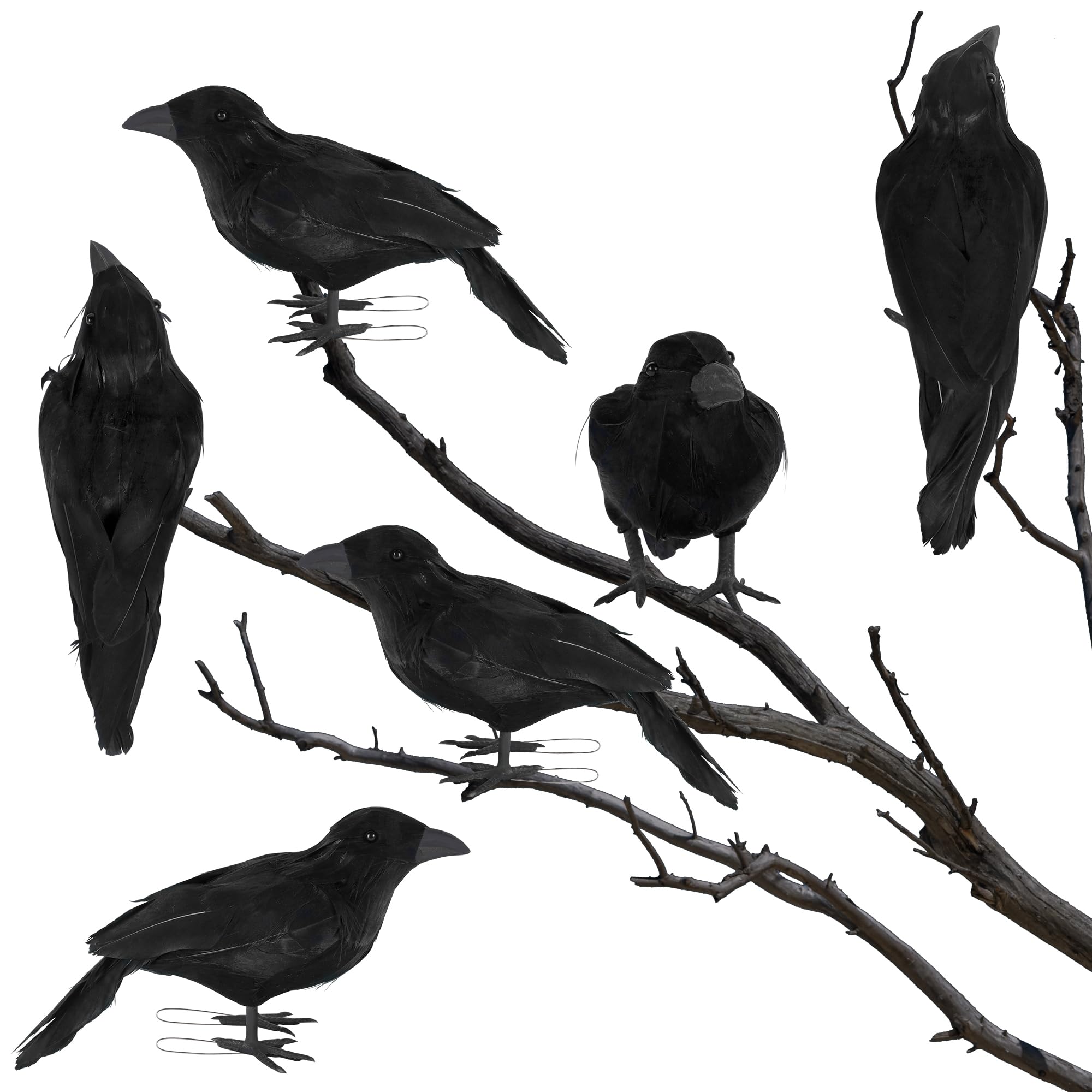 Photo 1 of ATDAWN 6 Pack Halloween Birds - Realistic Black Feathered Crows, 7.9" from Beak to Tail Feathers, Halloween Decoration Props for Outdoor & Indoor, Party Supplies, Haunted House, Graveyard Displays