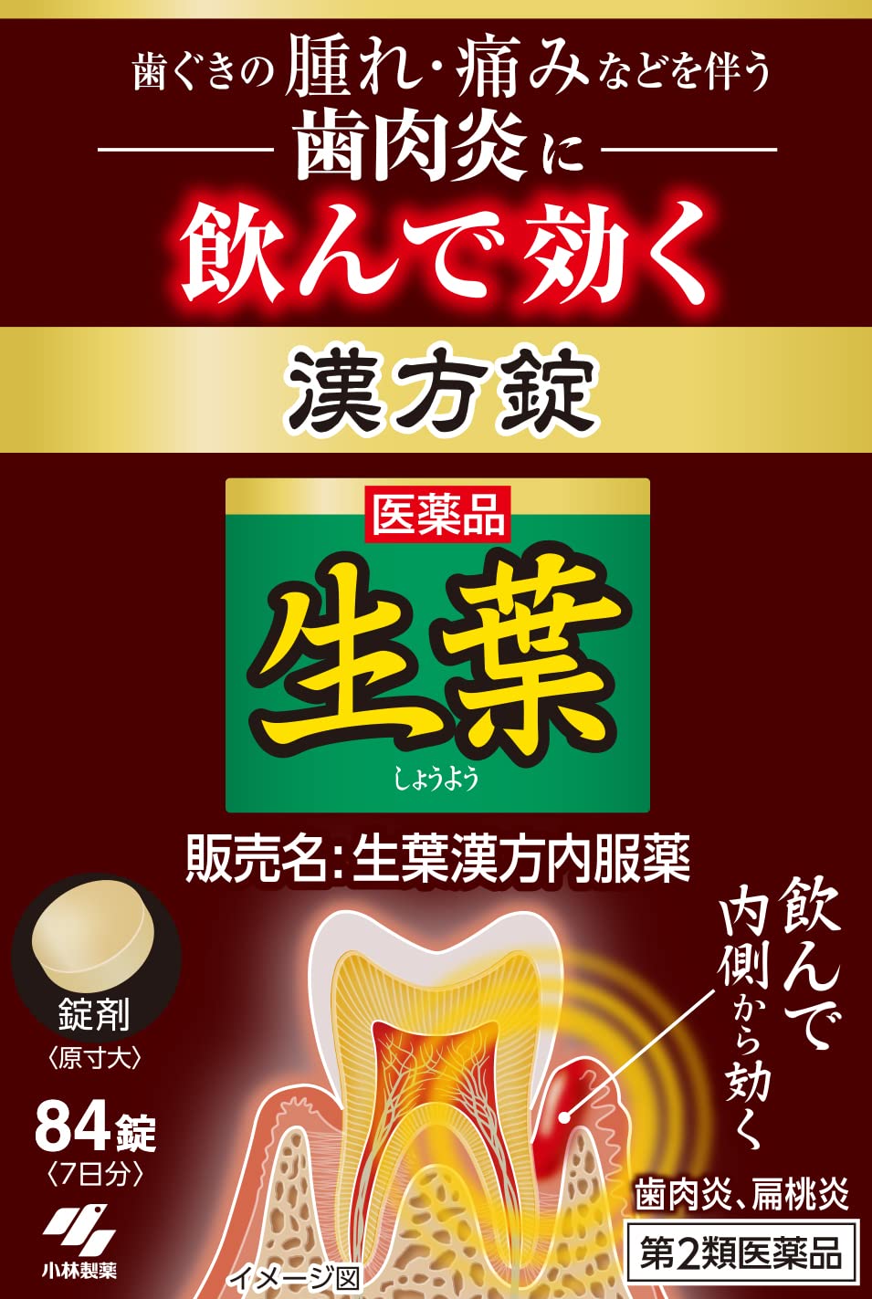 【第2類医薬品】生葉漢方内服錠 84錠商品画像