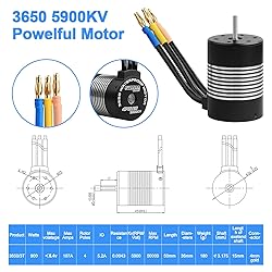3650 5900KV Sensorless Brushless RC Motor 120A