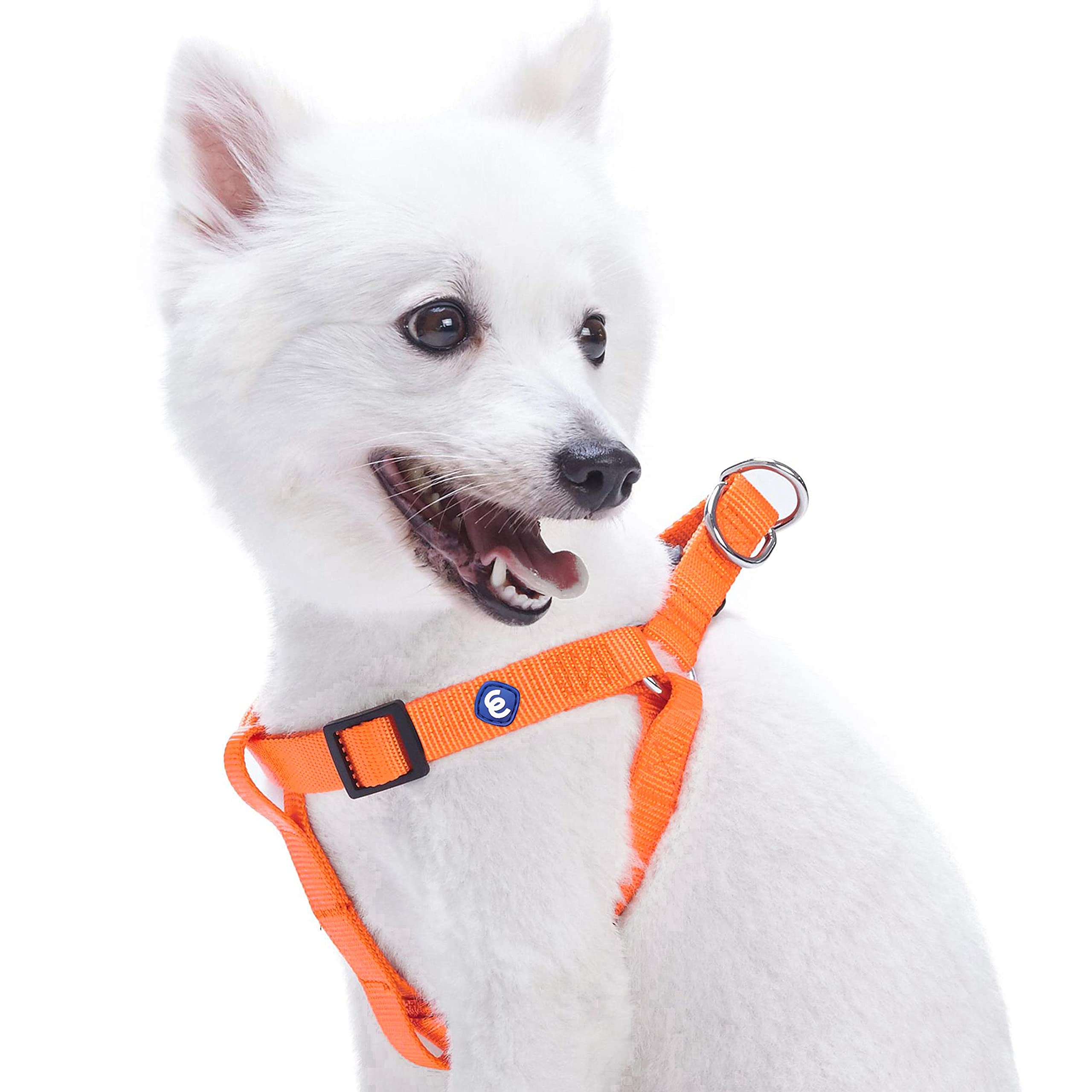 Blueberry Pet Classic Solid Adjustable Dog Harness, Matching Collar and Lead Available Separately