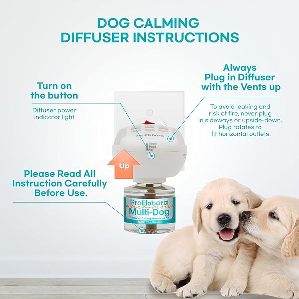PROELOBARA DOG CALMING PHEROMONE PLUG DIFFUSER: DOG CALMING PHEROMONES DIFFUSER – REDUCES STRESS & ANXIETY CALMING PHEROMONE DIFFUSER FOR DOGS – CALM DOGS 60 SUPPLY