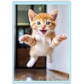 CardFool - Funny Cat Birthday Hug Card for Women, Men, Coworkers and Anyone and All Ages Ready to Party