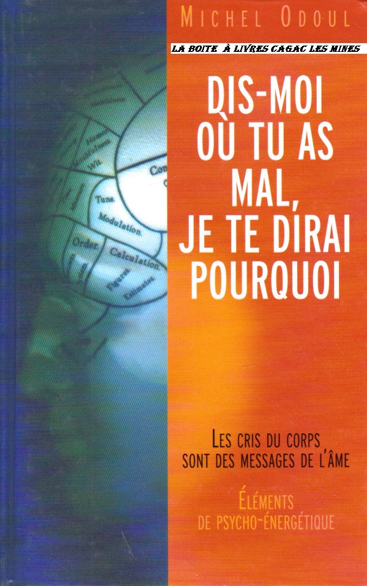 Amazon Fr Dis Moi Ou Tu As Mal Je Te Dirai Pourquoi Elements De Psychoenergetique Michel Odoul Livres