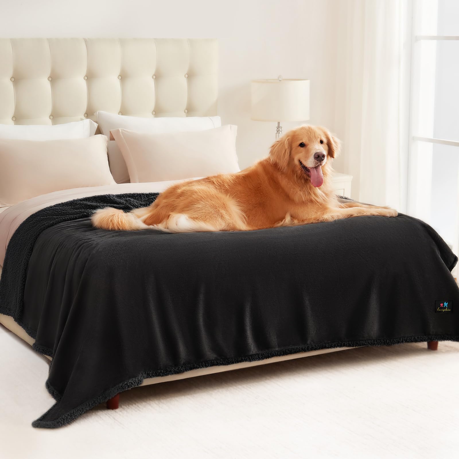 Luciphia Waterproof Bed Blanket Washable,Soft Sherpa Fleece Puppy Reversible Throw Blankets for Medium Large Dog Cat,Furniture Cover Protector Couch Bed from Liquid Pee and Pet Fur, Black,85" x 57" Image