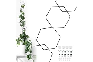 LETRAVAGANCE 18pcs Chain Trellis for Climbing Plants Outdoor & Indoor，Garden Wall Trellis for Climbing Plants，Plant Trellis Outdoor DIY and Plant Vine Support for Monstera,Pothos,Hoyas,Ivy,Morning Glory