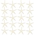 Jangostor 20 PCS Starfish, 2.5" to 4" Natural Seashells Starfish Star Fish Shells Decorations White Starfish Ornaments Perfect for Wedding Beach Theme Party Home Decorations, DIY Crafts, Fish Tank