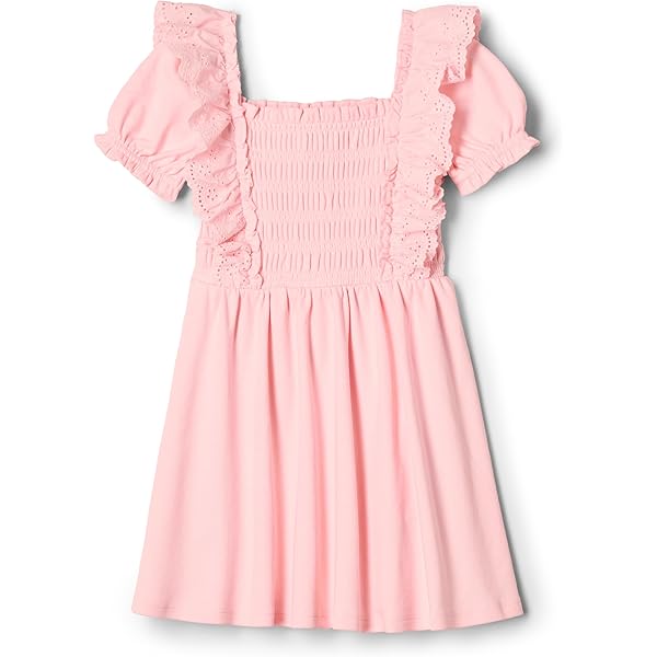 Amazon.com: Blueberi Boulevard Baby Girls' Lace-Overlay Party Dress (24  Month) Pink: Clothing, Shoes & Jewelry