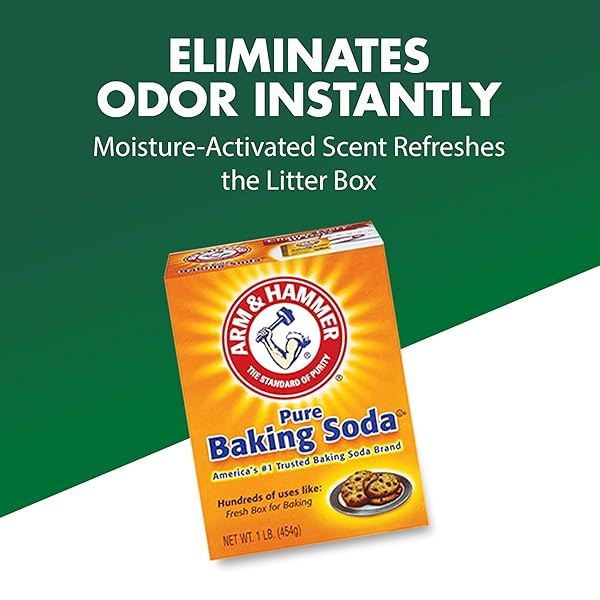 DEODORIZING CAT LITTER POWDER BY ARM & HAMMER