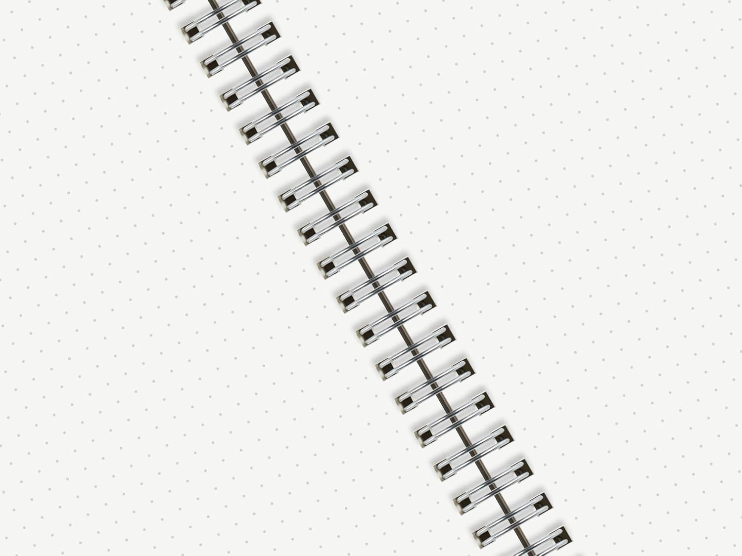 HULYTRAAT Large Dot Grid Spiral Notebook, 8.5" x 11", Premium 100 gsm Ivory White Paper, Sturdy See-Through Cover, 128 Dotted Pages per Book (2 Pack) for Home, School, Office, Artist Writing/Drawing : Office Products