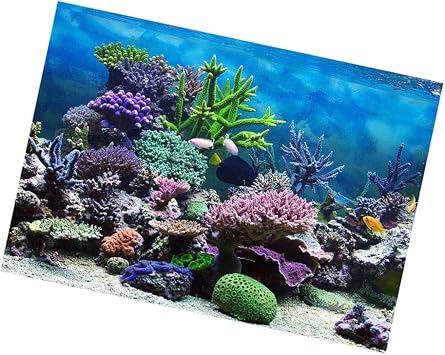 Fish Aquatic Pets Pet Supplies Aquarium Background Sticker 3d