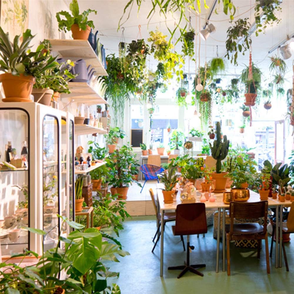 Handgewebt Blumentopf Pflanzen Halter Aufh nger Handgewebt Blumentopf Pflanzen Halter Aufh nger