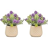Fuxdre Fake Plants Small with 2 Pack, The Goleden Ball Flower for Bathroom Shelf Decor, Decorative Plants for Home Living Room Office Bedroom Table Tray Shelve Farmhouse Decor Indoor(Purple)