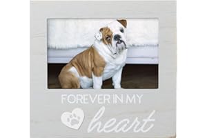 Pearhead Pet Forever In My Heart Memorial Keepsake Picture Frame - Keepsake for Dogs and Cats, Home Decor or Sympathy Gift for Pet Lovers, Heart & Paw Print Design, 4x6 Photo Insert, Gray