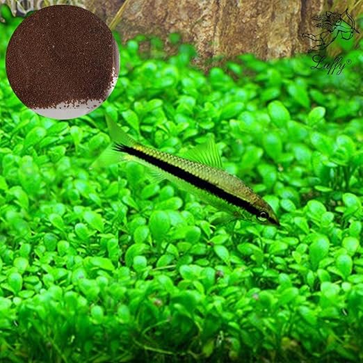 green tropical fish