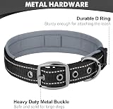 Joytale Reflective Dog Collar Extra Large Neoprene Padded Heavy Duty Buckle view 3