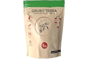 GrubTerra Golden Dried Black Soldier Fly Larvae - Premium Supplement to Increase Egg Production for Chicken Treats, Bird Feed, Chicken Feeder, Pet Bird Food, and Chicken Feed (1lb)