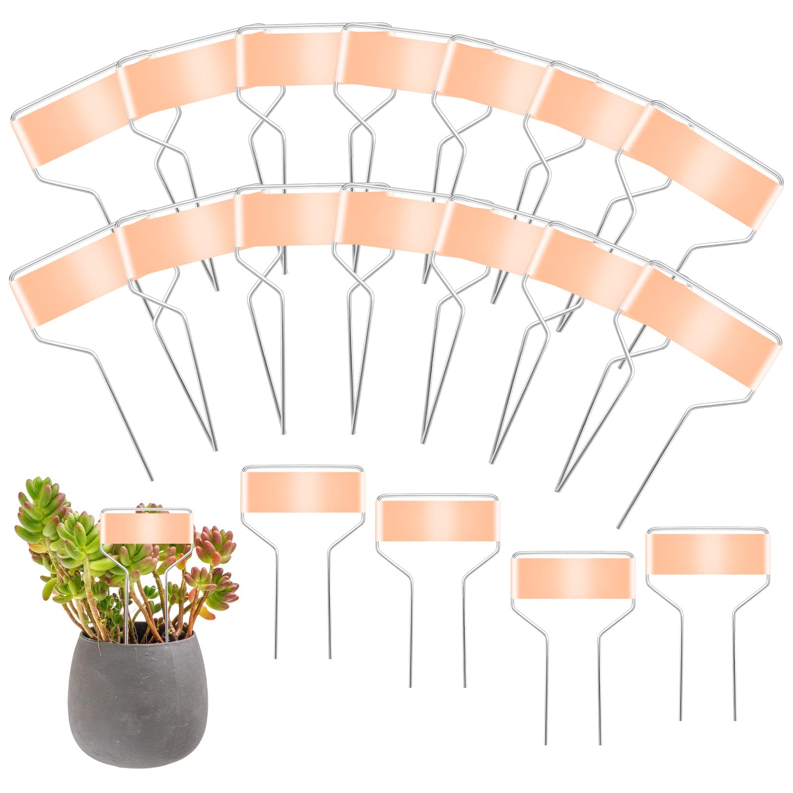 20pcs Metal Plant Tags, 4inch Plant Label Stakes Metal Copper Vegetable Garden Markers Weatherproof Plant Signs for Potted Plants Herbs Flowers Vegetables Outdoor & Indoor
