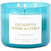 Eucalyptus Thyme Citrus Candle - Large 3-Wick Soy Scented Candle for Home 15.8oz - Fresh Eucalyptus Aromatherapy Stress Relief Candle - Long Lasting Clean Burning - Gift for Women & Men