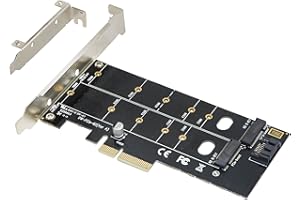 CERRXIAN Dual M.2 PCIe Adapter, M2 NVME SSD M Key or SATA SSD B Key to PCI-e 3.0 x 4 Host Controller Expansion Card with 2 x 
