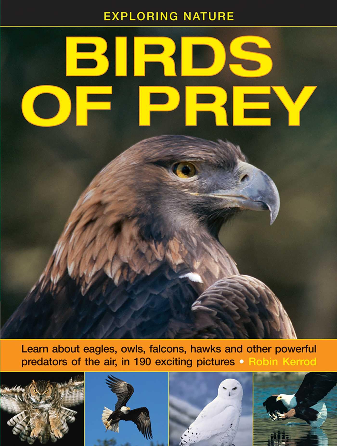 Birds of Prey (Exploring Nature): Learn about Eagles, Owls, Falcons, Hawks and Other Powerful Predators of the Air, in 190 Exciting Pictures