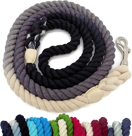ombre rope dog leash