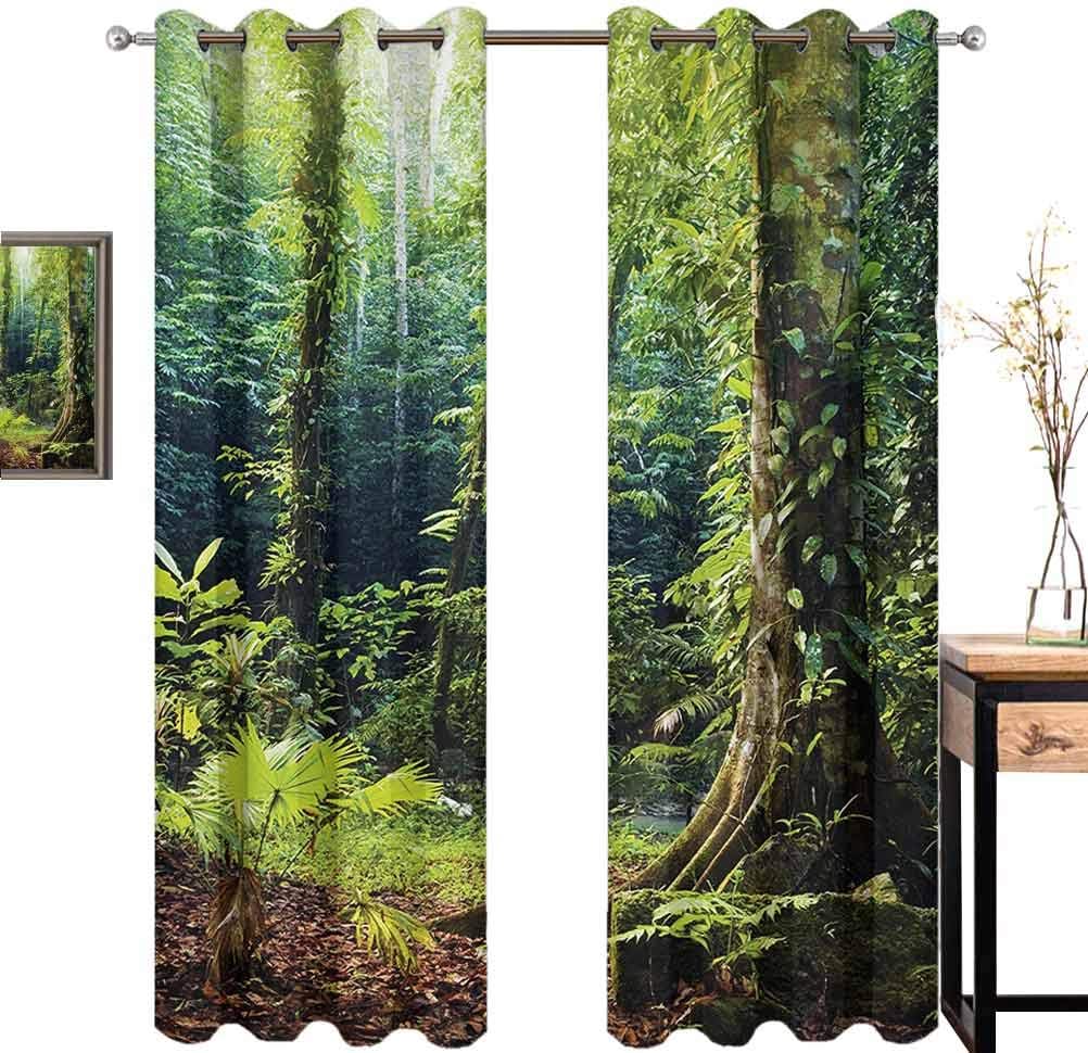 June Gissing Rainforest Blackout Curtains for Bedroom Morning Sunbeam Through Wild Forest Ivy on Trees Tranquility in Nature Eco Sound Asleep Room Curtains W84 x L108 Green Brown