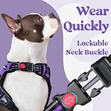 rabbitgoo Dog Harness Medium Adjustable No Pull Reflective Purple M view 3