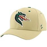 ZHATS NCAA Unisex-Adult NCAA Officially Licensed Snapback Hat Competitor Team Color