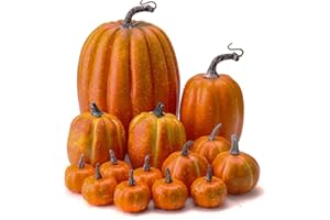 WESAPPINC Artificial Pumpkins,14PCS Orange Pumpkins Assorted Large Faux Harvest Pumpkins for Autumn Thanksgiving Halloween Seasonal Holiday Decor Decoration (Orange)