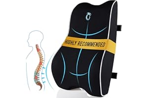 COMPUCLEVER Lumbar Support Pillow for Office Chair & Car, Ergonomic Memory Foam Back Cushion for Lower Back Pain Relief, Breathable Mesh, Dual Adjustable Straps for Work, Driving, Wheelchair and Gaming