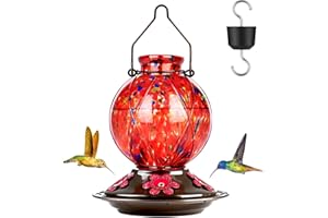 Hummingbird Feeder, BOLITE Glass Hummingbird Feeders for Outdoors Hanging, 20 Ounces, Leak Proof, Meshy Texture Ball Shape Bottle, Red, Birthday Gifts for Women Men, Gifts for Mom Dad