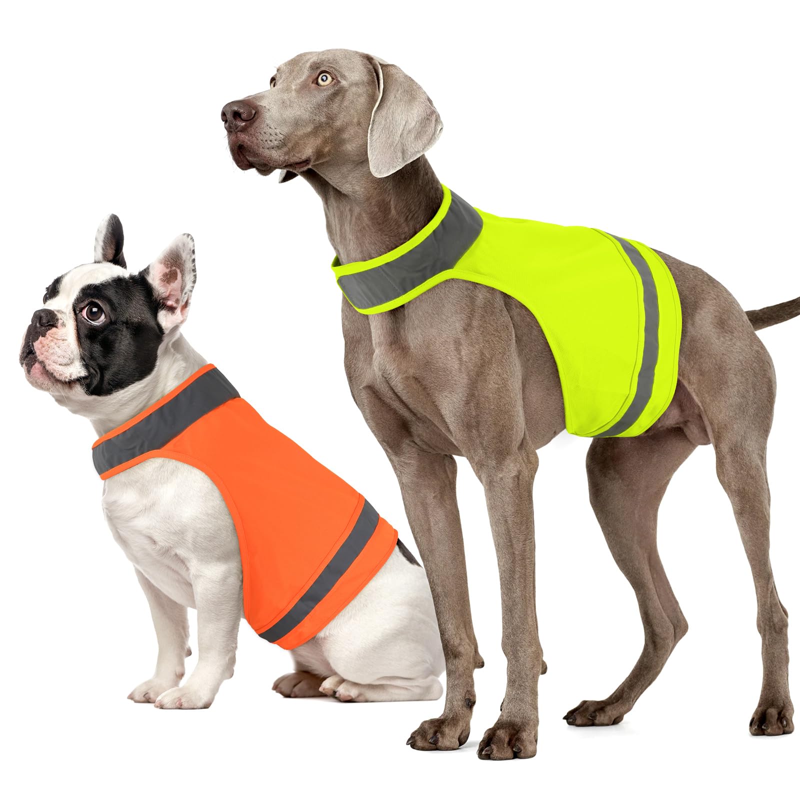 BiPawTi 2 PCS Hi Vis Reflective Dog Vest for Hunting, High Visibility Dog Safety Vest for Outdoor Activity Day and Night, Keep Visible Coat for Night Walking, Hunting - Bright Orange & Green, S