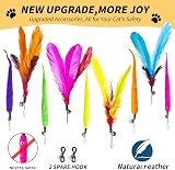 FYNIGO Cat Toys Indoor Interactive Wand Teaser 3 Wands 9 Refills 2 Hooks view 2