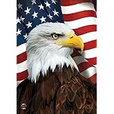 Briarwood Lane Everyday House Flag 40x28 For Outdoor American Eagle Patriotic House Flag
