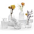 Bud Vases in Bulk - Small Glass Vase Set of 5 EylKoi Different Shape Vintage, Mini Vases Clear Small Vases for Flowers, Glass Bud Vase Glass Flower Clear Vases for Centerpiece Bulk, Wedding Table