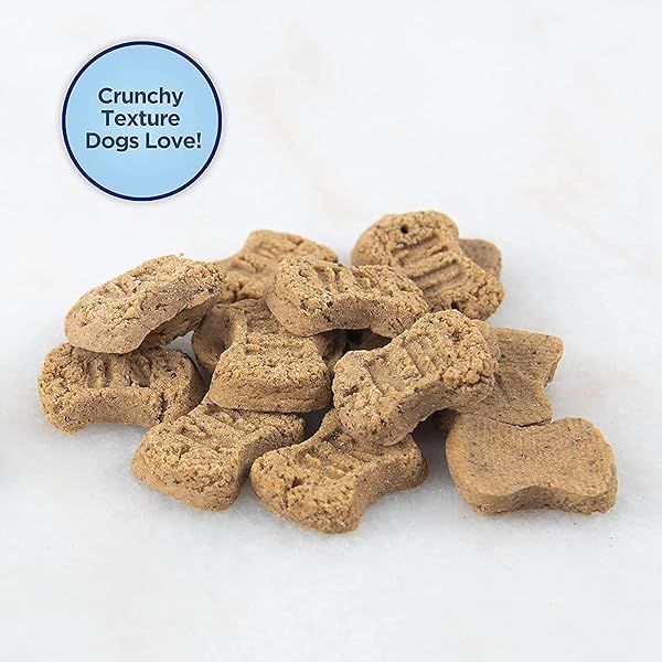 NATURAL BALANCE LIMITED INGREDIENT REWARDS CRUNCHY BISCUITS, GRAIN-FREE DOG TREATS FOR ADULT DOGS OF ALL BREEDS, SALMON RECIPE, 14 OUNCE (PACK OF 1)