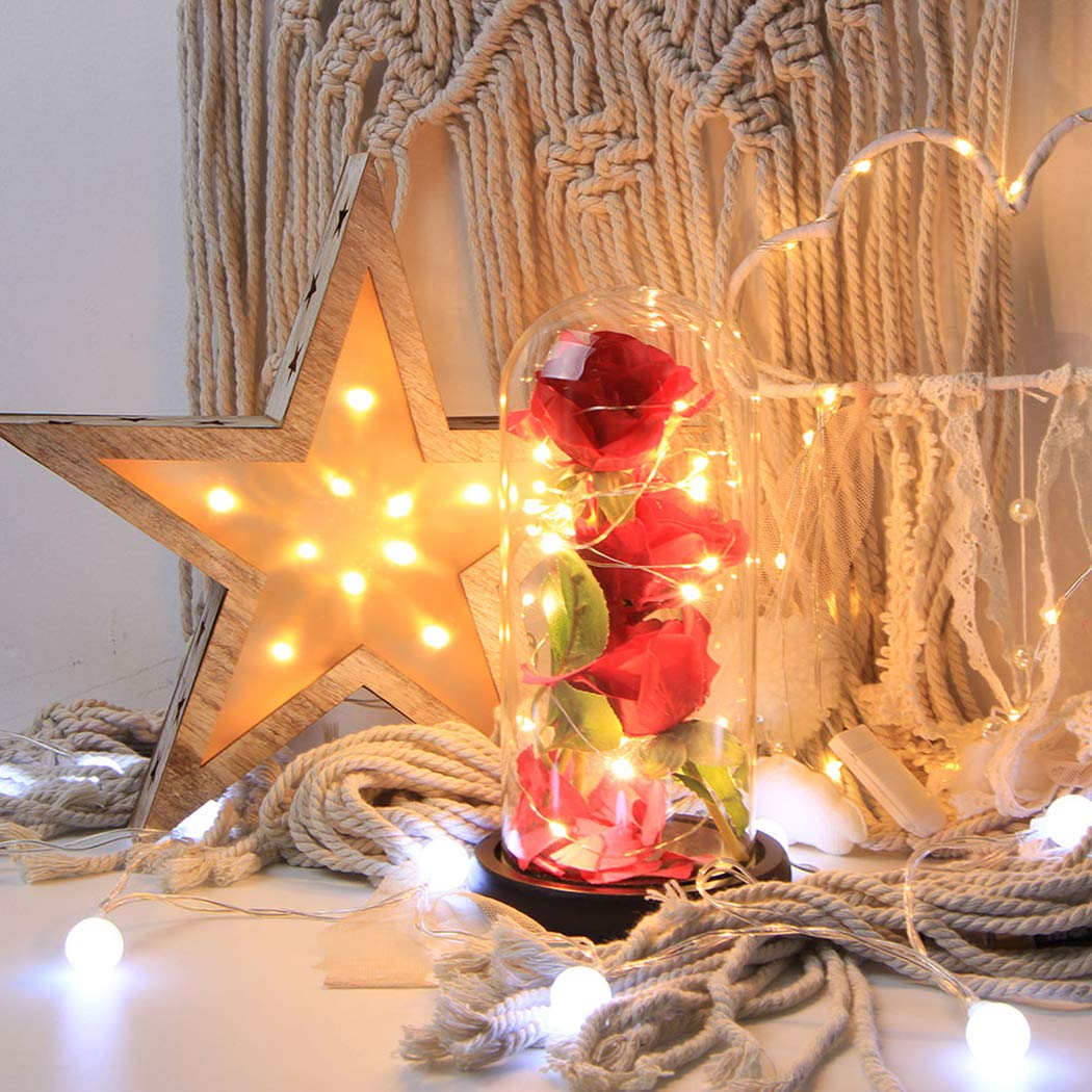 Beauty and The Beast,FunPa 3PC Forever Flower and Warm White LED Light with Fallen Petals in Glass Dome on a Wooden Base Best Gift for Valentine\'s Day Birthday Anniversary Valentine\'s Day