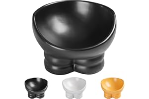 Wellbro Tilted Cat Food Bowl -Elevated Cat Bowl, Whisker Friendly, Anti Vomiting,Pet Feeding Bowl for Cat