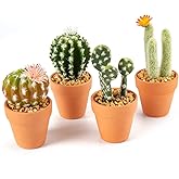 Oairse Mini Artificial Cactus Plants in Terracotta Pots 4 Pcs Potted Faux Succulents in Pots Fake Potted Plants Cactus Decor Small Artificial Plants for Home Decor Indoor Office Desk Tabletop Shelf