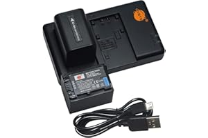 DSTE 2-Pack NP-FV70 Battery + Rapid Dual Charger Compatible with Sony FDR-AX40 AXP55 DCR-SR21 SR68 SX83E FDR-AX100 HDR-CX380 