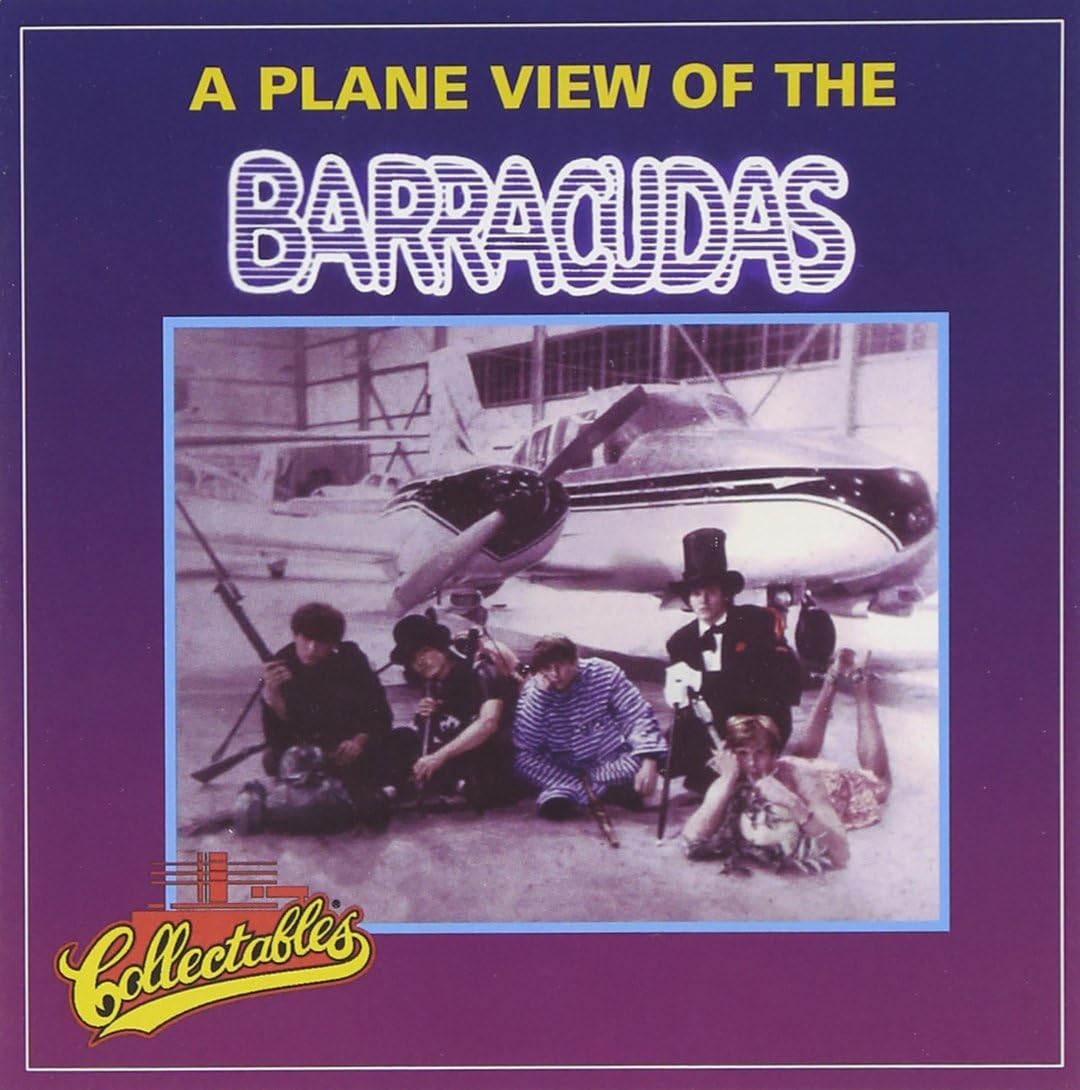 A Plane View Of The Barracudas