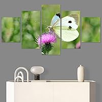 SIGNWIN 5 Panel Canvas Wall Art Modern Art Bee Butterfly Colorful Contemporary Insects Multicolor Photography for Home Decorations Ready to Hang - 60