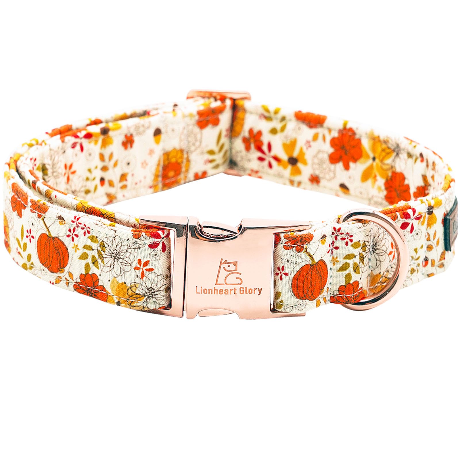 Photo 1 of Lionheart Glory Adjustable Heavy Duty Dog Collar for X-Small Dogs - Fall & Halloween Themed, Pumpkin Design