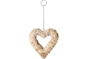 SuperMoss (22360) Living Wreath for Indoor and Outdoor Decor – Soil-Free Sphagnum Moss Wreath for Succulents, Plants, and Flowers – DIY Garden Craft for Front Door or Wall, 9”, Heart