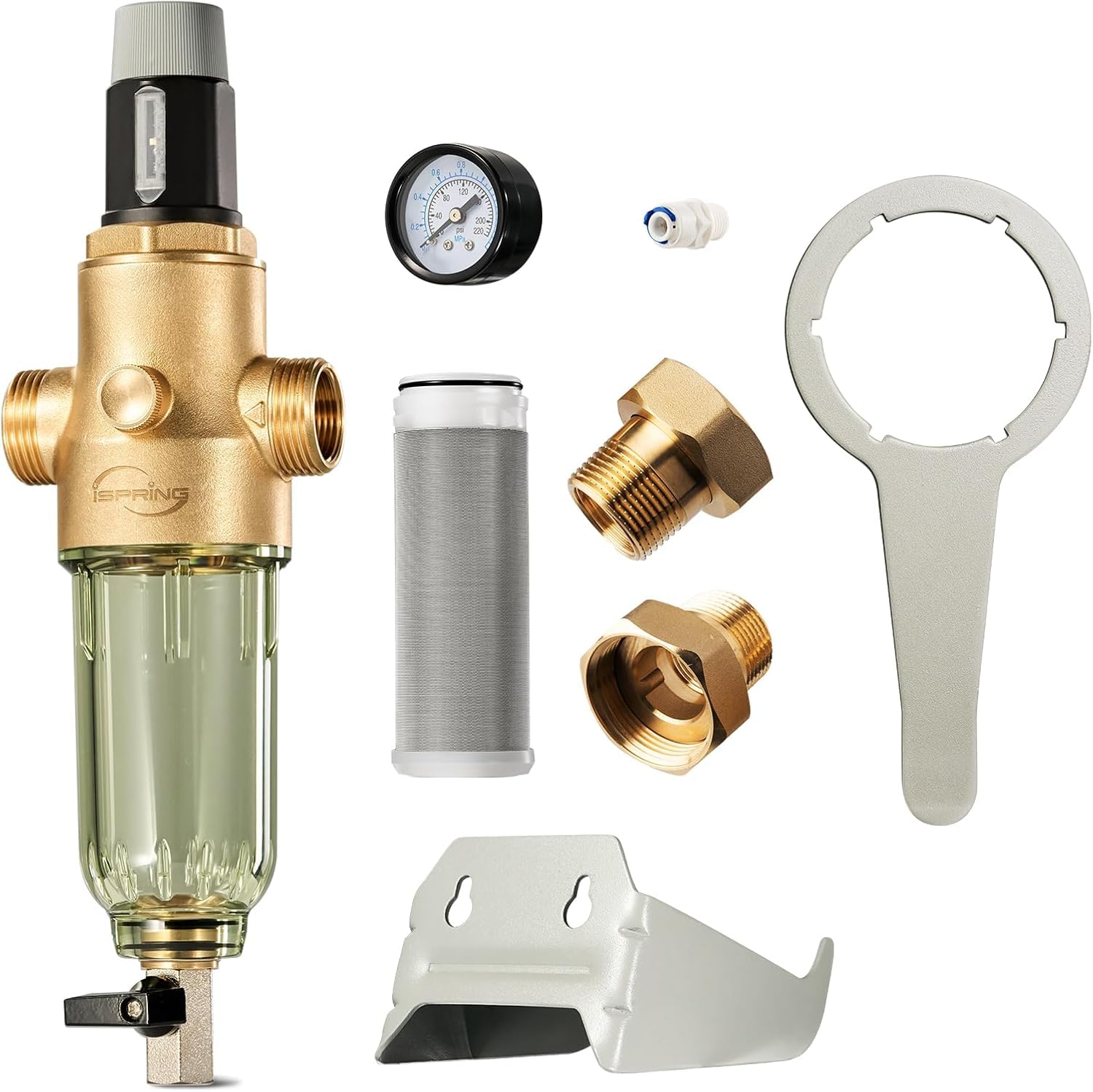 iSpring WSP50PRG 1" Sediment Spin Down Water Filter with Pressure Regulator, High Precision Filter for Urban Water Supply, 50 Micron