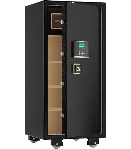 Burglar and Fire Safe, 6.4 cu ft - Amazon.com
