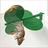 Billy-Bob Flippin' 5 Gallon Bucket Mouse Trap | Made in America, No Kill Humane Catch and Release, Reusable Trap, Effective Pest Control