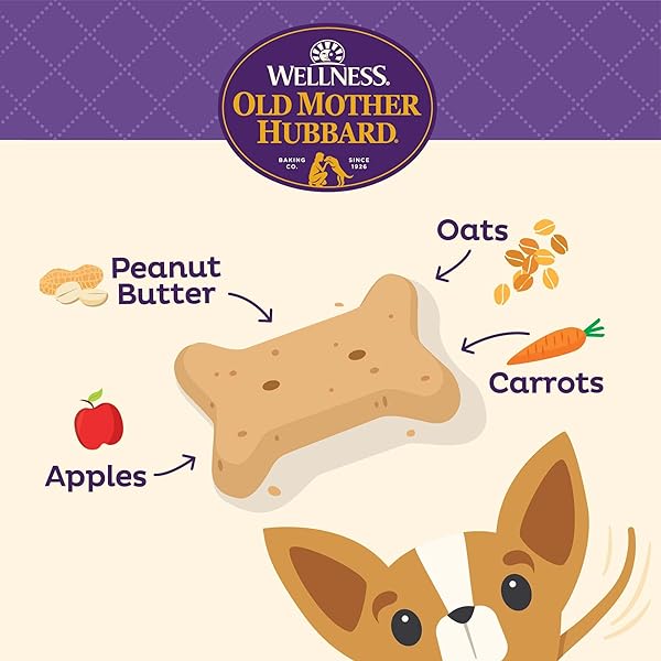 OLD MOTHER HUBBARD WELLNESS P-NUTTIER DOG BISCUITS, NATURAL, TRAINING TREATS, PEANUT BUTTER FLAVOR, MINI SIZE, (6 POUND BOX)