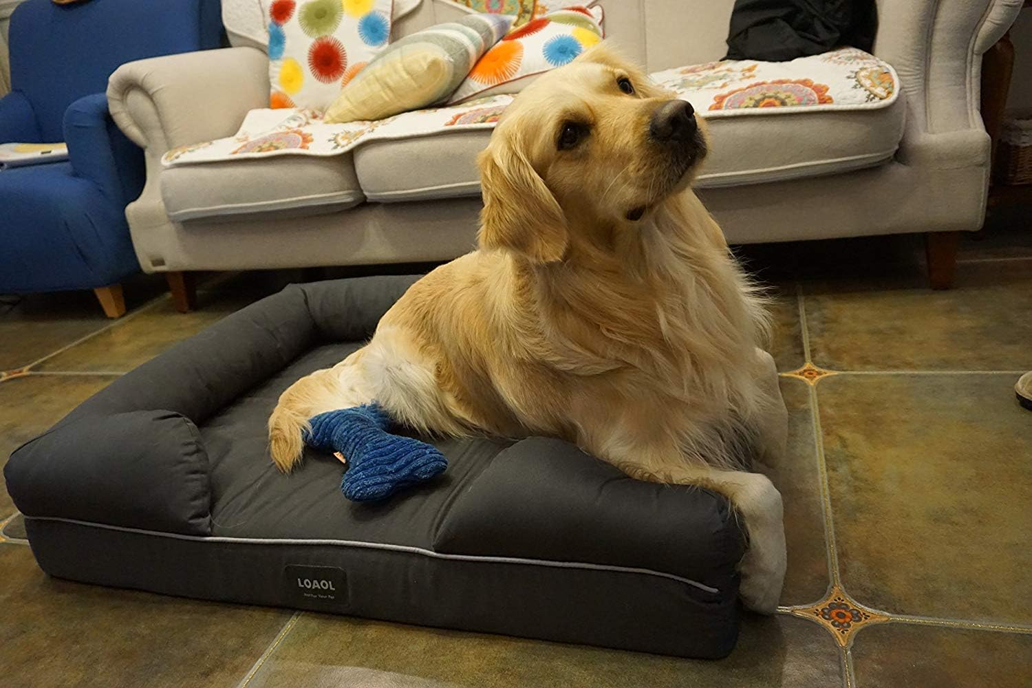 LOAOL Memory Foam Dog Bed Durable Waterproof Pet Sofa Couch with Bolster Orthopedic Cat Lounger Removable Cover (L, Woven Gray) : Pet Supplies